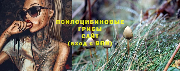 стафф Алексин