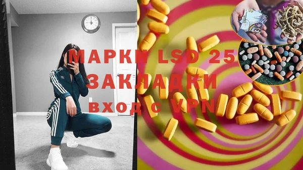 индика Алексеевка