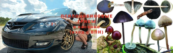 индика Алексеевка