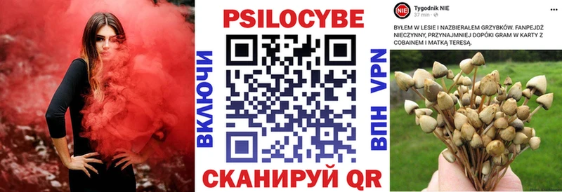 Галлюциногенные грибы GOLDEN TEACHER  Константиновск 